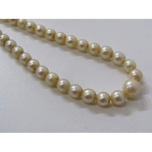 146 - CULTURED PEARL NECKLACE, a graduated pearl necklace with a 9ct yellow gold clasp, 16