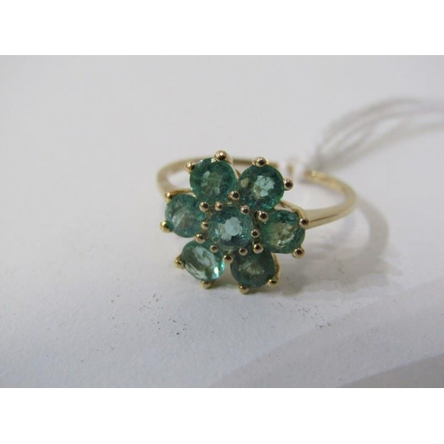 171 - EMERALD CLUSTER RING, 9ct yellow gold ring set with a cluster of 7 emeralds, size P/Q