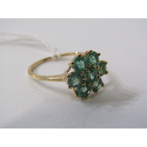 171 - EMERALD CLUSTER RING, 9ct yellow gold ring set with a cluster of 7 emeralds, size P/Q