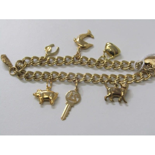 257 - GOLD CHARM BRACELET, 9ct yellow gold bracelet with padlock clasp, set 7 assorted charms including do... 