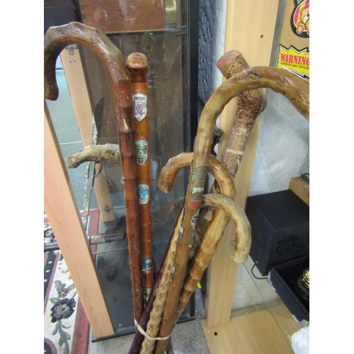 438 - Collection of 8 walking sticks