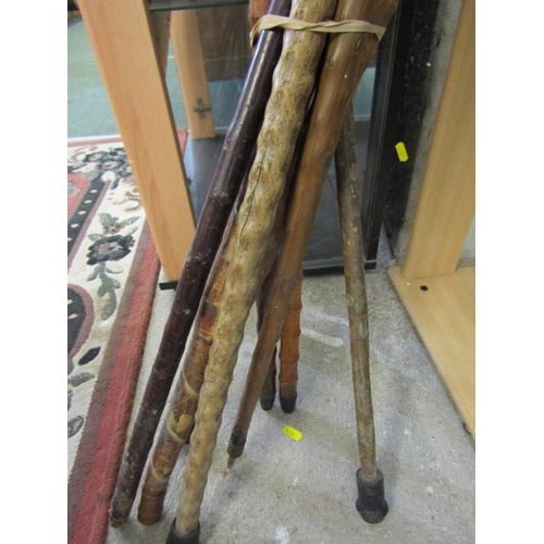 438 - Collection of 8 walking sticks