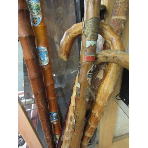 438 - Collection of 8 walking sticks