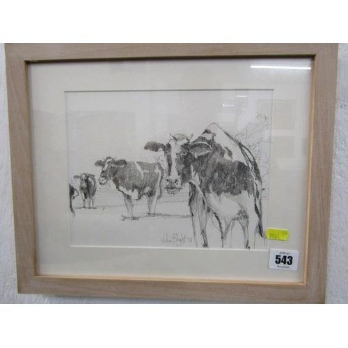 543 - JOHN BLIGHT, pencil sketch Friesian cows, signed and dated