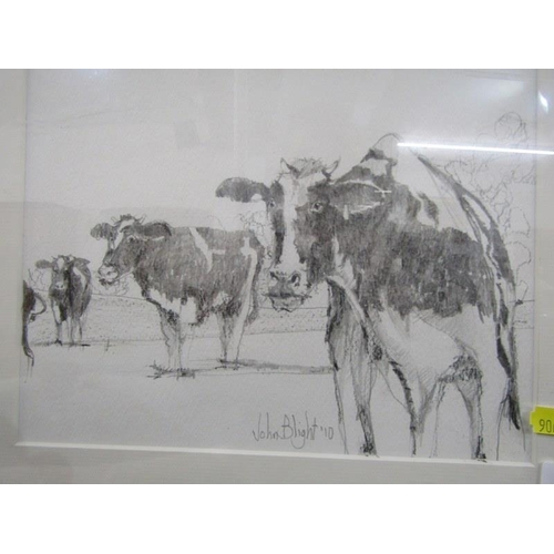 543 - JOHN BLIGHT, pencil sketch Friesian cows, signed and dated