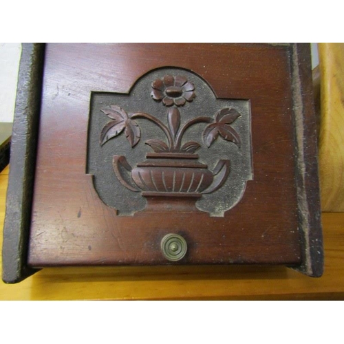 569 - EDWARDIAN CARVED SLOPE FRONT COAL HOD