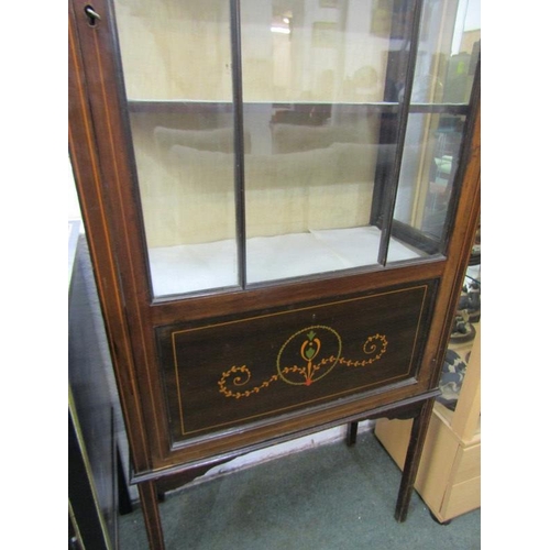 602 - EDWARDIAN INLAID & PAINTED NARROW DISPLAY CABINET, 64cm width