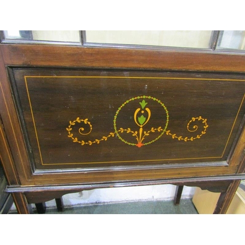 602 - EDWARDIAN INLAID & PAINTED NARROW DISPLAY CABINET, 64cm width