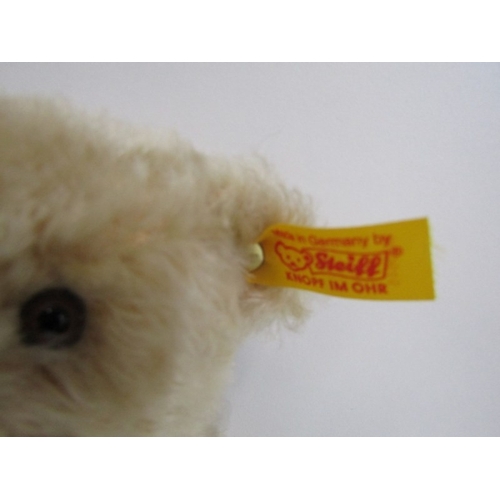 412 - STEIFF TEDDIES, 2 Steiff teddy bears; blonde classic 1920 teddy bear, no 000645 and black Original b... 