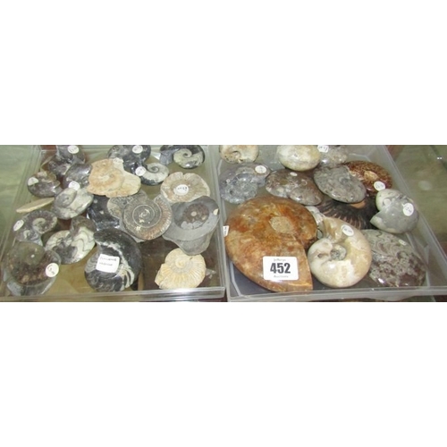 452 - FOSSILS, 2 trays of various fossils including Gonsiatite (Morocco) & numerous other examples