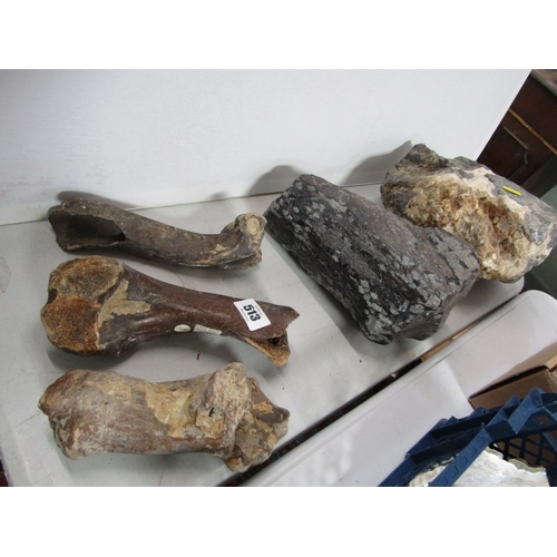 513 - MINERALS & FOSSILS, 2 large uncut minerals and 3 various fossils, including quartz and  marble, a de... 