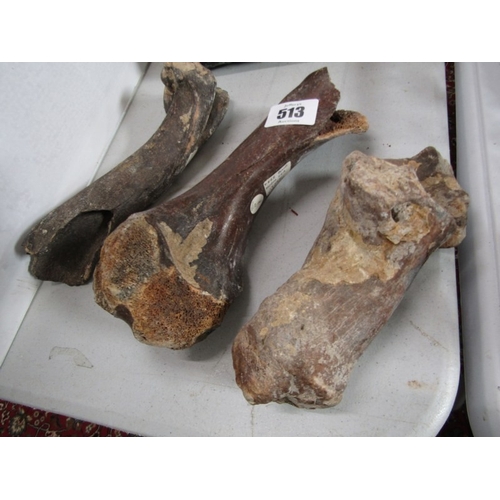 513 - MINERALS & FOSSILS, 2 large uncut minerals and 3 various fossils, including quartz and  marble, a de... 