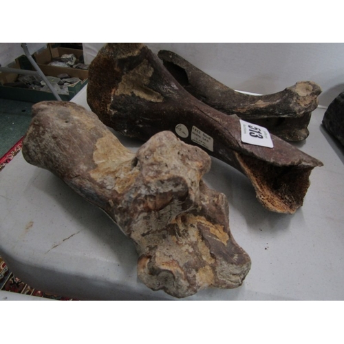 513 - MINERALS & FOSSILS, 2 large uncut minerals and 3 various fossils, including quartz and  marble, a de... 