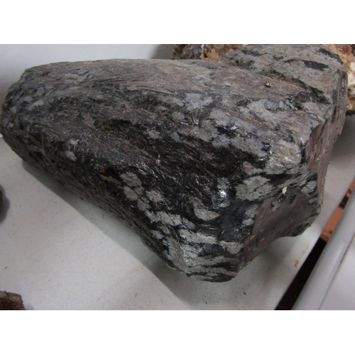 513 - MINERALS & FOSSILS, 2 large uncut minerals and 3 various fossils, including quartz and  marble, a de... 