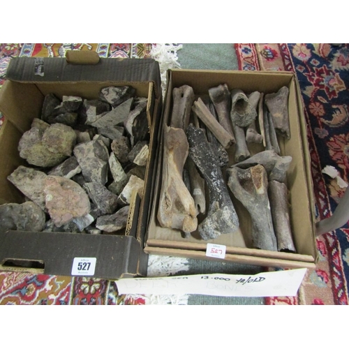 527 - MINERALS/FOSSILS, a box full of uncut stones/minerals, together with a box of North Sea deer bones (... 