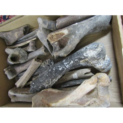 527 - MINERALS/FOSSILS, a box full of uncut stones/minerals, together with a box of North Sea deer bones (... 