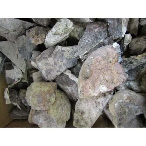 527 - MINERALS/FOSSILS, a box full of uncut stones/minerals, together with a box of North Sea deer bones (... 