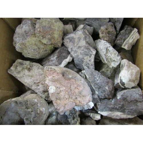 527 - MINERALS/FOSSILS, a box full of uncut stones/minerals, together with a box of North Sea deer bones (... 