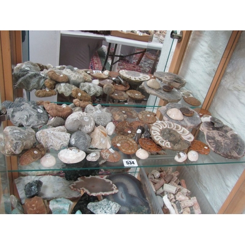 534 - FOSSILS, variety of stone set fossils, ammonite and others, various sizes and colours