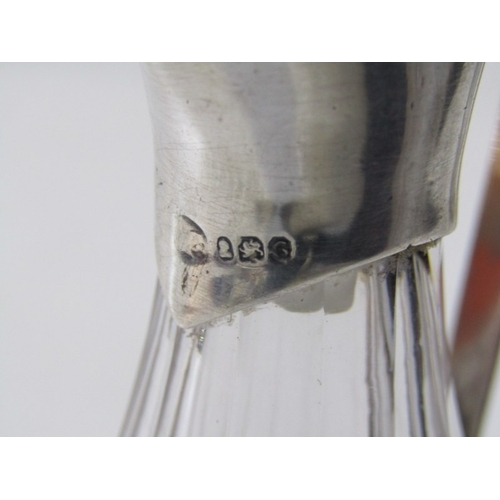 559 - SILVER MOUNTED OIL BOTTLES, pair of Georgian oil bottles with silver mounted tops and handles, HM, h... 