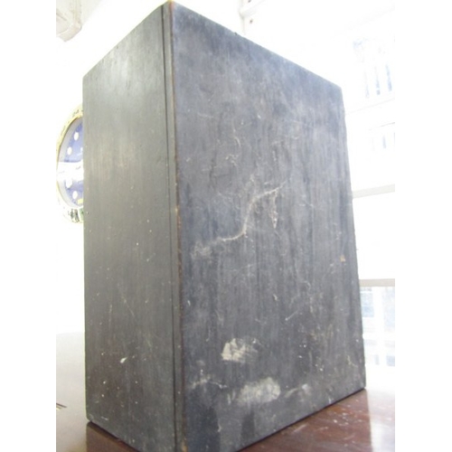 655 - TAXIDERMY, an African grey parrot in glazed case, height 38cm