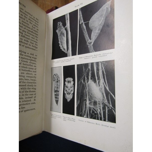 778 - ANTIQUE BOOKS, antique books to include 