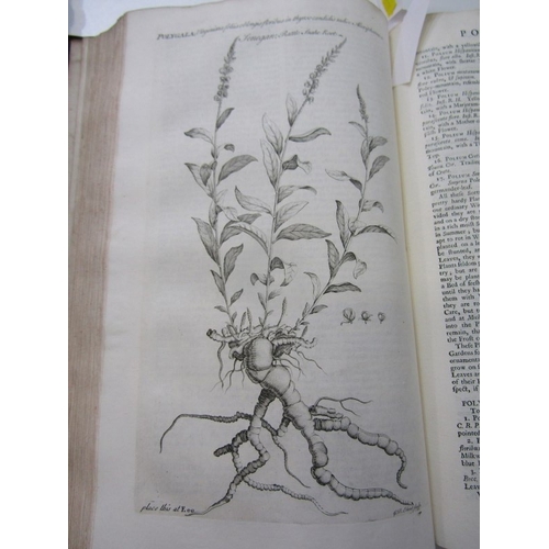 488 - MILLER'S GARDENER'S DICTIONARY, 1743 Miller's Gardener's Dictionary in 2 volumes, folio 4th edition.... 