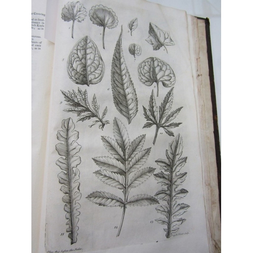 488 - MILLER'S GARDENER'S DICTIONARY, 1743 Miller's Gardener's Dictionary in 2 volumes, folio 4th edition.... 