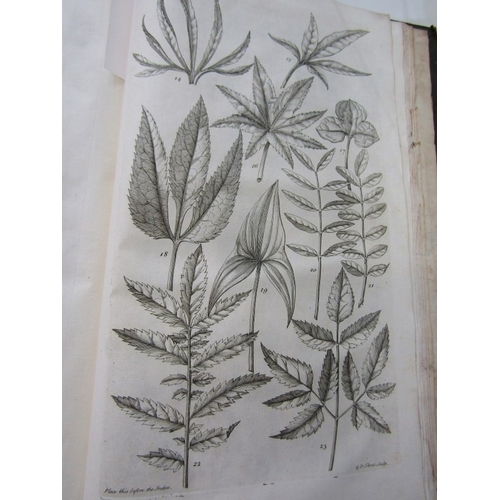 488 - MILLER'S GARDENER'S DICTIONARY, 1743 Miller's Gardener's Dictionary in 2 volumes, folio 4th edition.... 