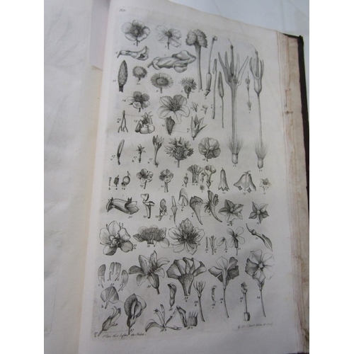 488 - MILLER'S GARDENER'S DICTIONARY, 1743 Miller's Gardener's Dictionary in 2 volumes, folio 4th edition.... 