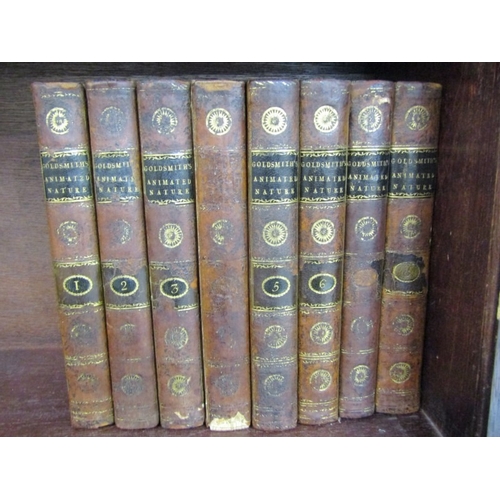 498 - ANTIQUARIAN BOOKS, A History of the Earth and Animated Nature, by Oliver Goldsmith, 2nd edition in 8... 