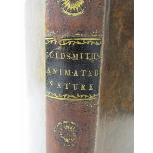 498 - ANTIQUARIAN BOOKS, A History of the Earth and Animated Nature, by Oliver Goldsmith, 2nd edition in 8... 