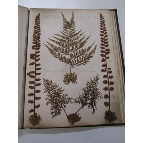 500 - ANTIQUARIAN BOOK, 'New Zealand Ferns', a 19th century hand produced volume containing pages of hand ... 