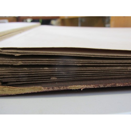 500 - ANTIQUARIAN BOOK, 'New Zealand Ferns', a 19th century hand produced volume containing pages of hand ... 