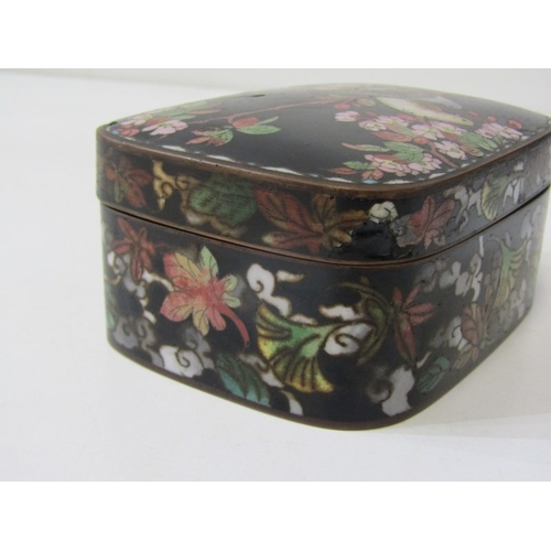 71 - CLOISONNE BOX, 19th Century Japanese cloisonne box and cover, decorated with 2 birds in a floral set... 