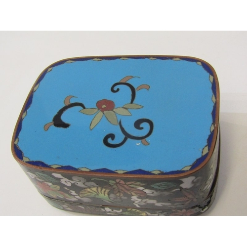 71 - CLOISONNE BOX, 19th Century Japanese cloisonne box and cover, decorated with 2 birds in a floral set... 