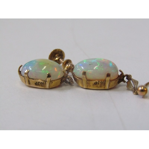 116 - IMPRESSIVE OPAL EARRINGS, a pair of 9ct yellow gold screw back earrings set with opals, the cabochon... 