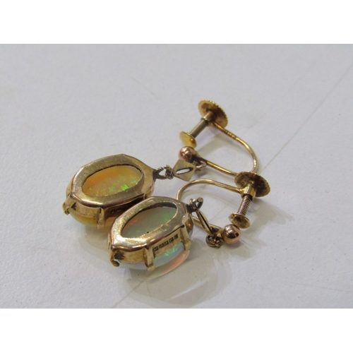 116 - IMPRESSIVE OPAL EARRINGS, a pair of 9ct yellow gold screw back earrings set with opals, the cabochon... 
