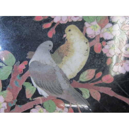 71 - CLOISONNE BOX, 19th Century Japanese cloisonne box and cover, decorated with 2 birds in a floral set... 