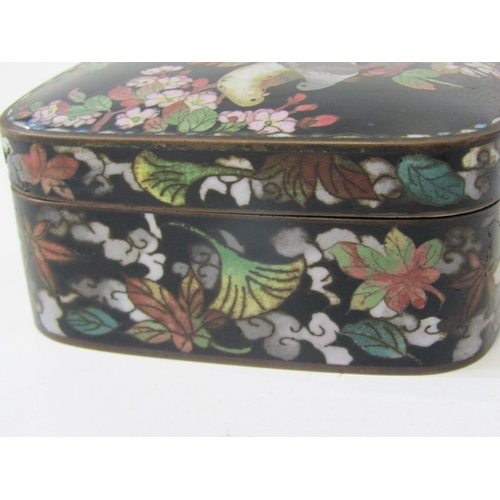 71 - CLOISONNE BOX, 19th Century Japanese cloisonne box and cover, decorated with 2 birds in a floral set... 