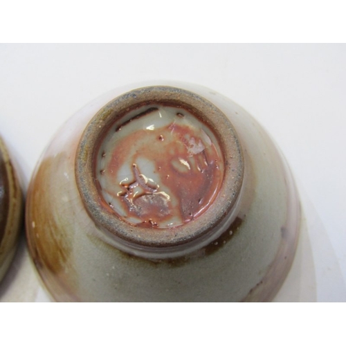 11 - WENFORD BRIDGE POTTERY, a collection of 10 pieces of Wenford Bridge pottery, including a small vase ... 