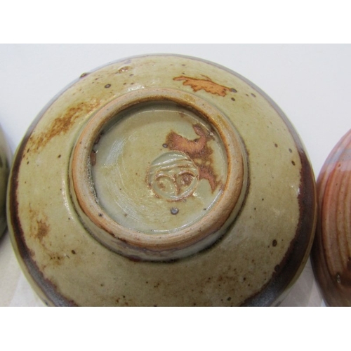 11 - WENFORD BRIDGE POTTERY, a collection of 10 pieces of Wenford Bridge pottery, including a small vase ... 