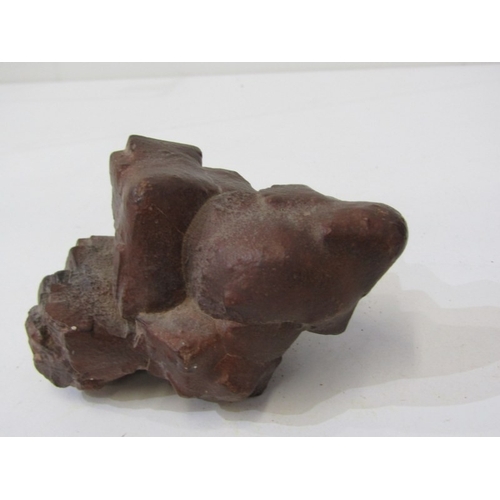 49 - FOSSILS, a piece of fossilised wood together with other fossils and stones
