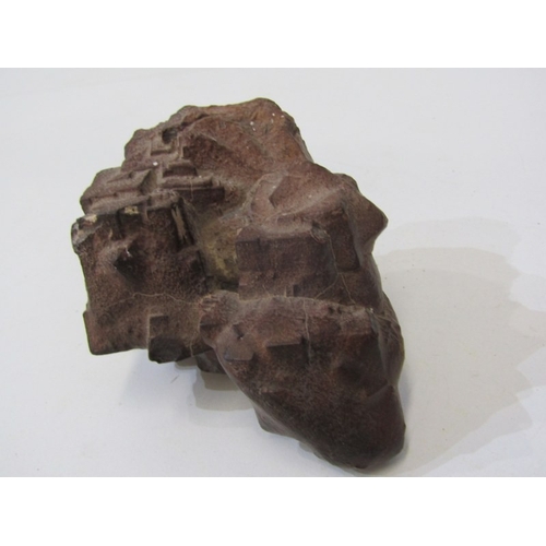 49 - FOSSILS, a piece of fossilised wood together with other fossils and stones