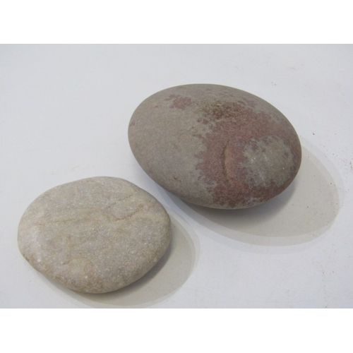 49 - FOSSILS, a piece of fossilised wood together with other fossils and stones