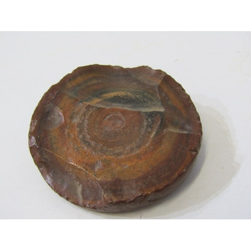 49 - FOSSILS, a piece of fossilised wood together with other fossils and stones