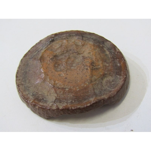 49 - FOSSILS, a piece of fossilised wood together with other fossils and stones