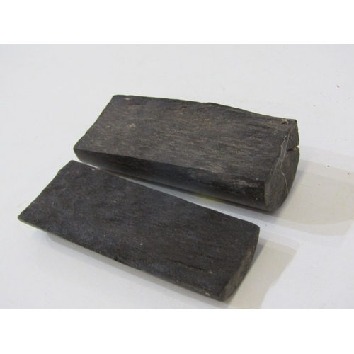 49 - FOSSILS, a piece of fossilised wood together with other fossils and stones
