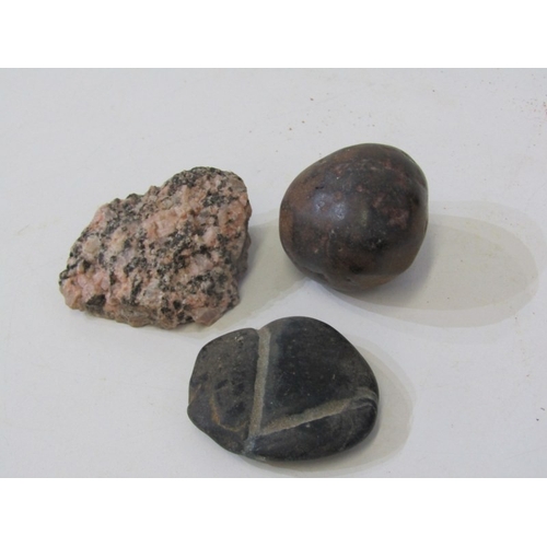 49 - FOSSILS, a piece of fossilised wood together with other fossils and stones