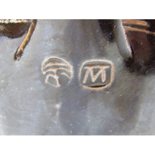 59 - WENFORD BRIDGE POTTERY, a Wenford Bridge pottery jug, the dark brown glaze with impressed dotted lin... 